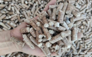 木材加工廠木屑堆積如山，環(huán)保部門令趕緊處理怎么辦？有它就夠了