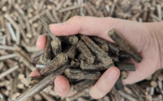 木屑燃料顆粒熱值多少大卡，完全取決于燃料的原料
